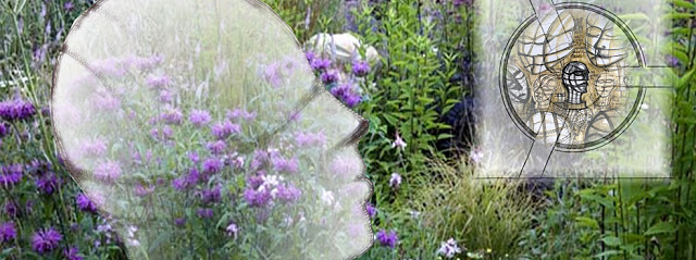 Nigel Ferguson Fabricators, a supplier of bespoke fabrications to the construction and building industry The McCarthy and Stone Garden
