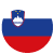 Slovenia flag icon